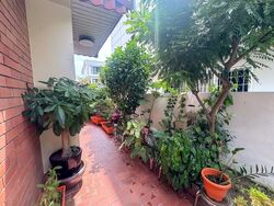 West Coast Gardens (D5), Terrace #534902761